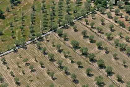 Sophia Antipolis