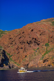 Scandola