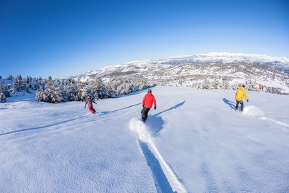 Snowboard