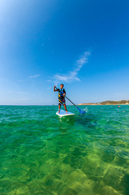 Paddle