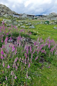 GR 20 Nord