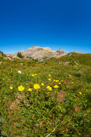 Lac d'Allos