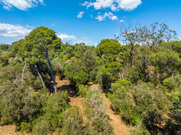 Lérins Sainte-Marguerite 2024