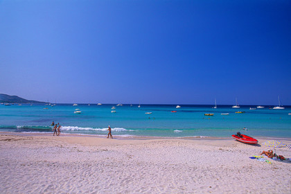 Saleccia