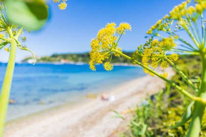 Lérins Sainte-Marguerite 2024