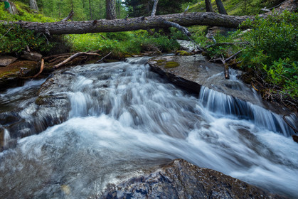 Torrent