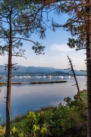 Porto-Vecchio
