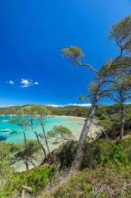 Porquerolles