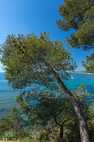 La Londe-les-Maures