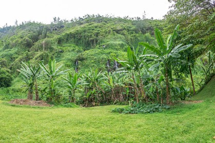 Ile de La Réunion