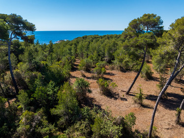 Lérins Sainte-Marguerite 2024