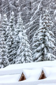 La Foux d'Allos