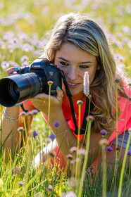 France, Alpes-de-Haute-Provence (04) Val d'Allos