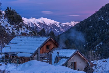Auron