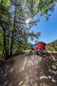 Vtt