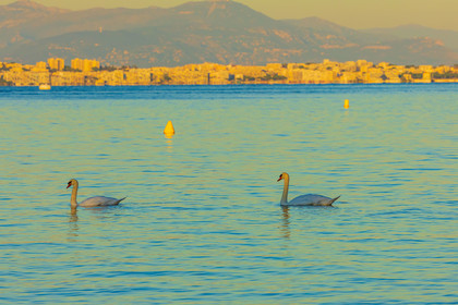 Lérins Sainte Marguerite 2024