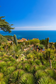 Eze Jardin exotique