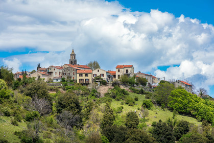 Vezzani