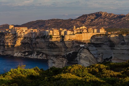 Bonifacio
