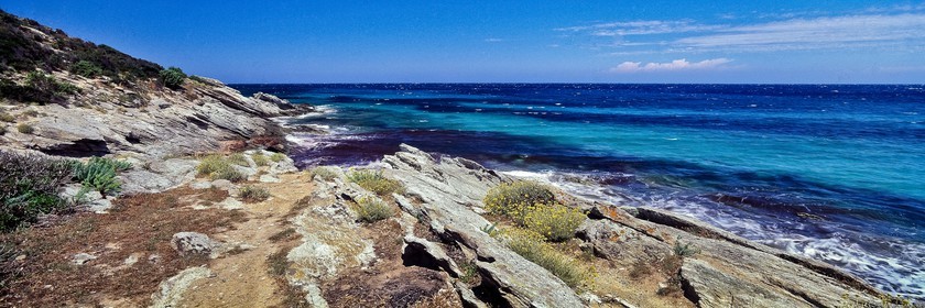 Saleccia