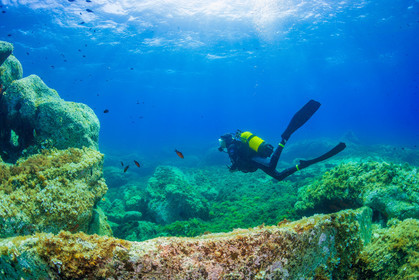 Plongée-sous-marine