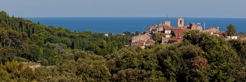 Biot