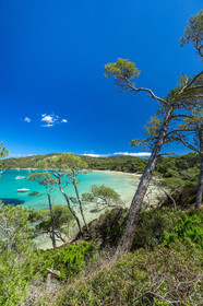 Porquerolles