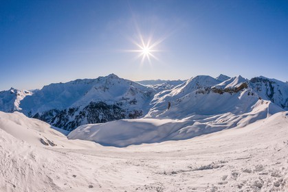Auron