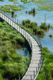 Camargue