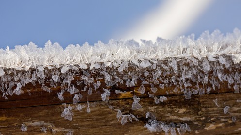 Cristaux de neige