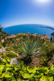 Eze Jardin exotique