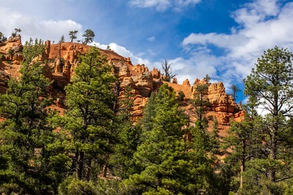 Sur la route en quittant Bryce Canyon