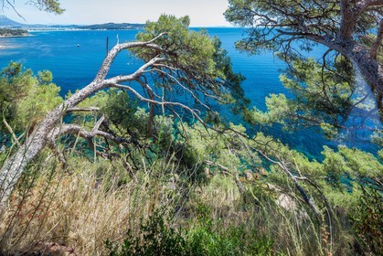 .La Seyne-sur-Mer