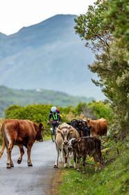 Col de Bigorno