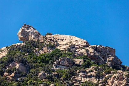 Roccapina