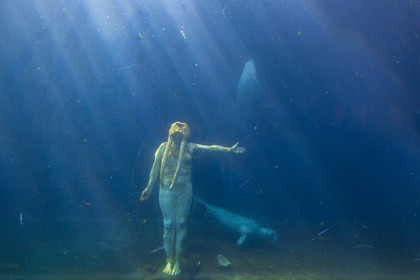 Seaquarium
