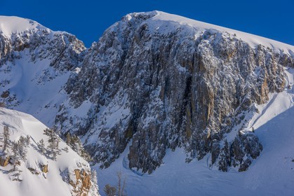 Isola 2000