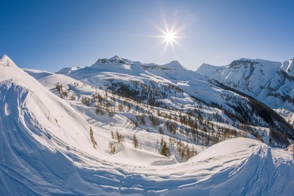 Auron