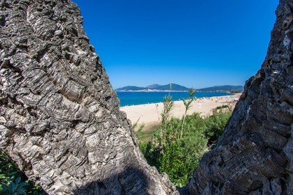 Plage de Porticcio