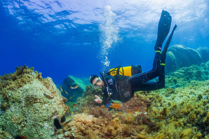 Plongée-sous-marine