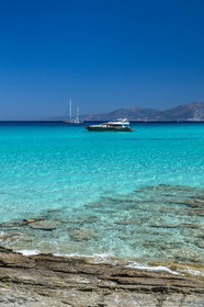 Saleccia