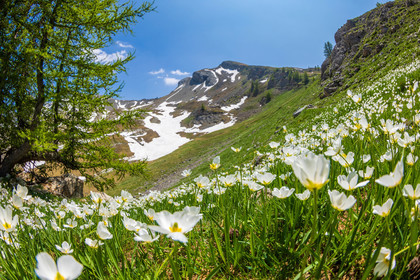 Lac d'Allos