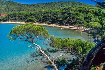 Porquerolles
