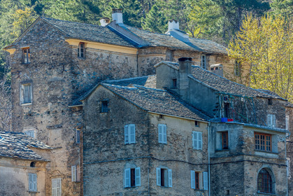 Saliceto