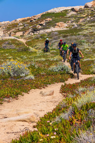 Vtt