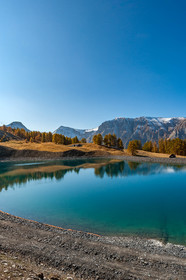 Auron