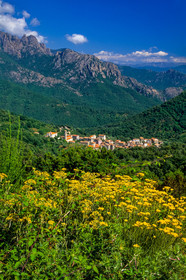 Vico