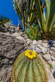 Eze Jardin exotique