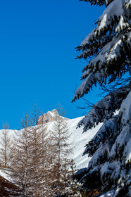 La Foux d'Allos