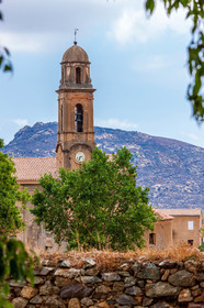 Feliceto